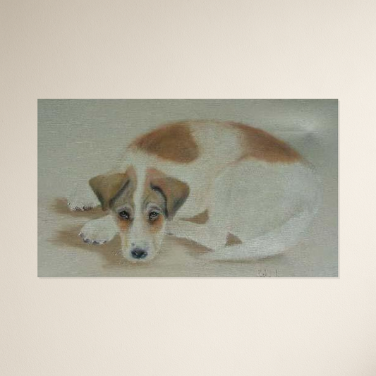 Møller Knudsen - 24